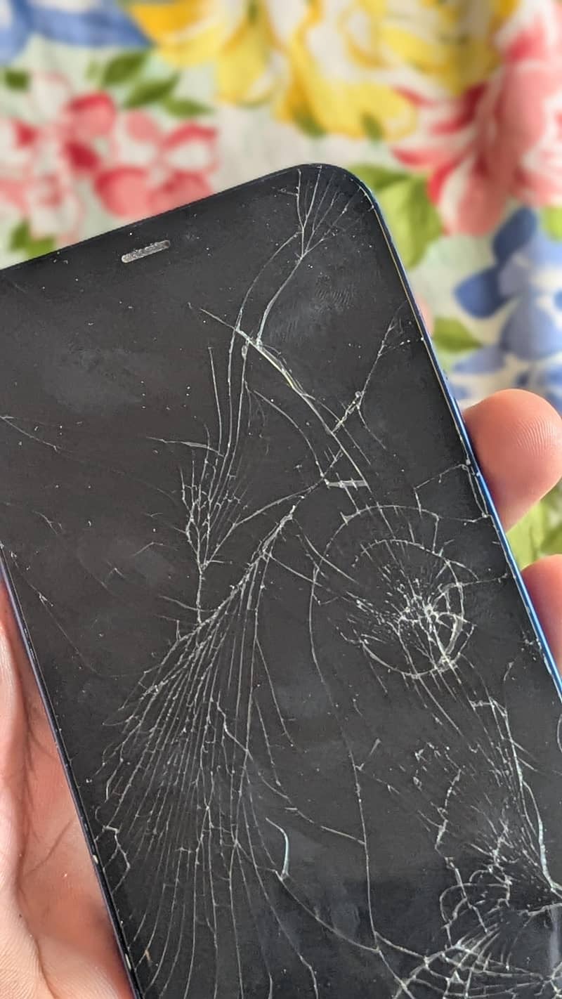 Apple iPhone 12 7
