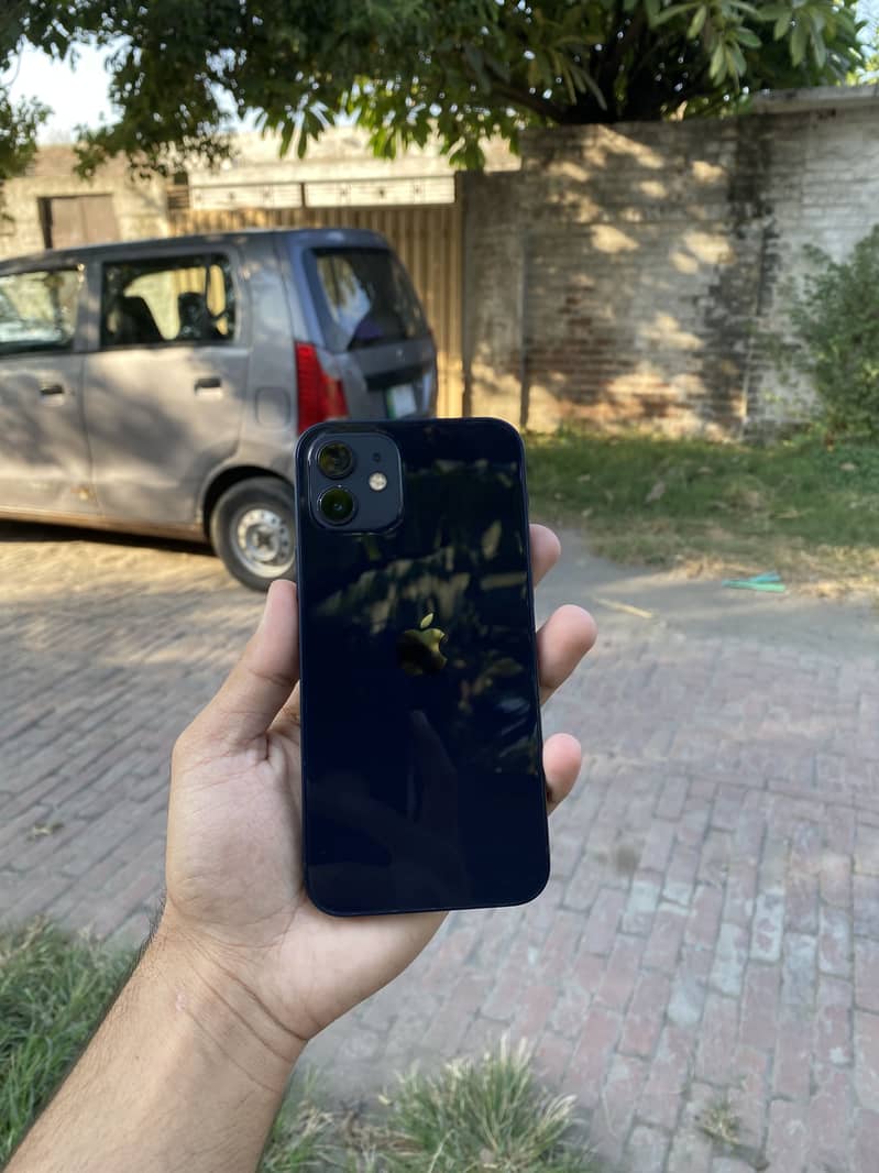 Apple iPhone 12 1
