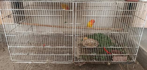 6 pairs of fishers different colour without cage