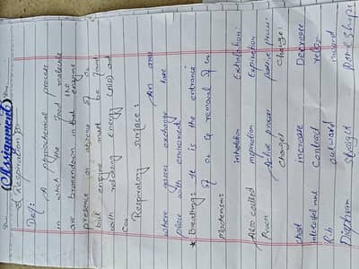 assignment likny Ki service dastiyab