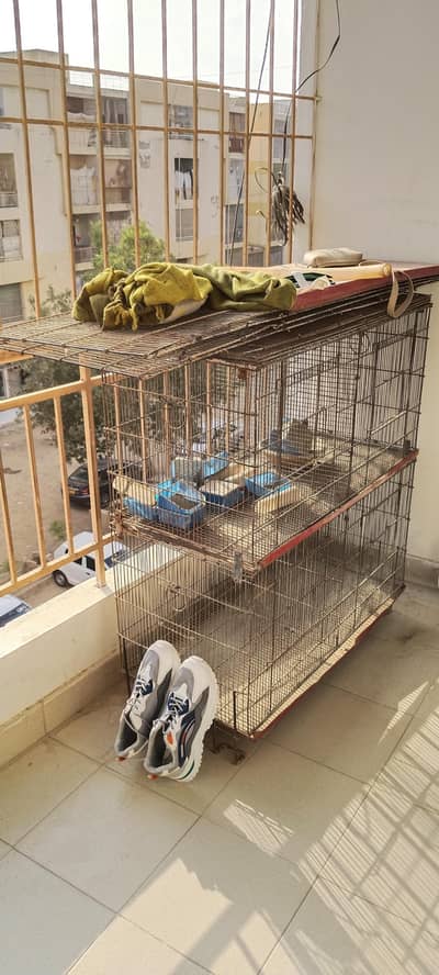 birds cage