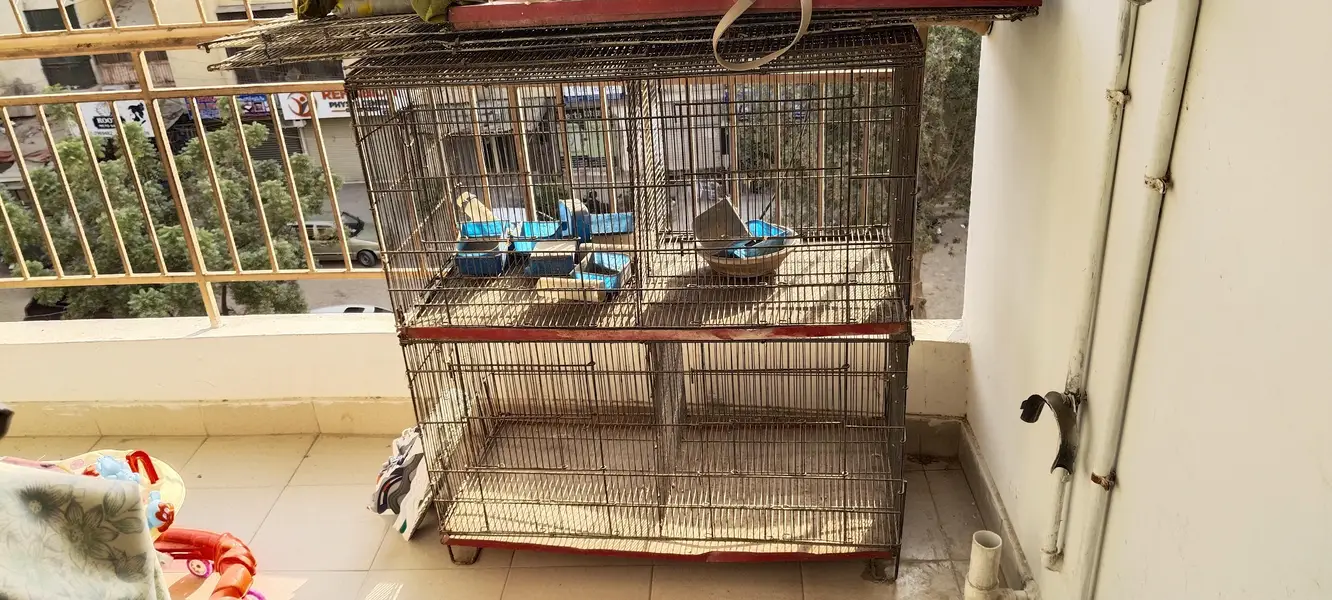 birds cage — photo 2