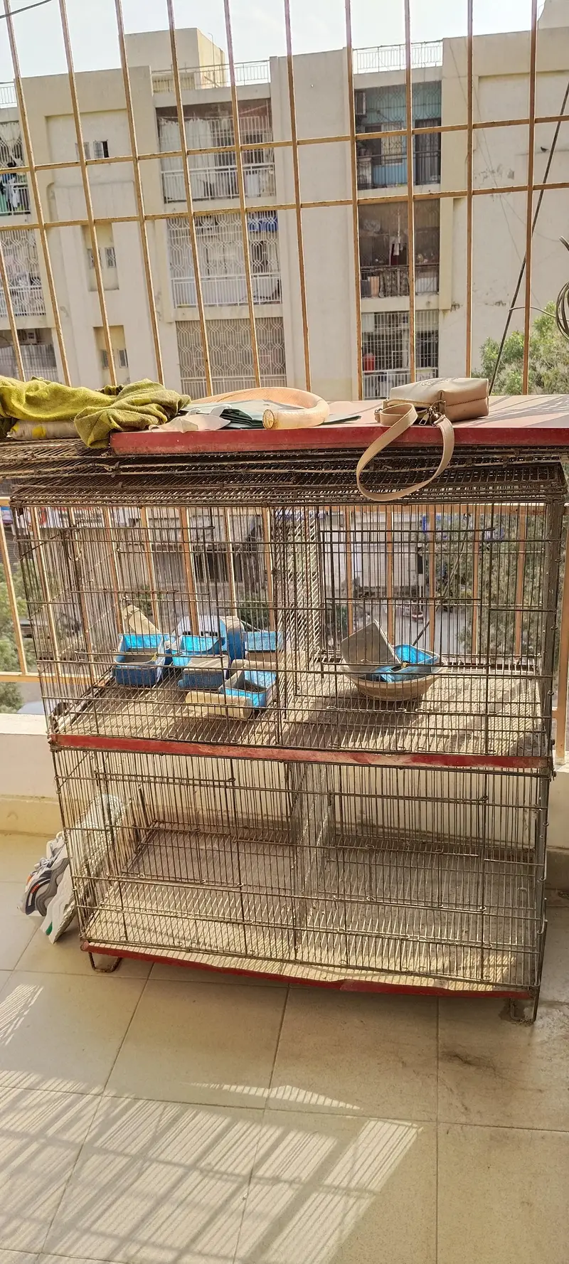 birds cage — photo 3