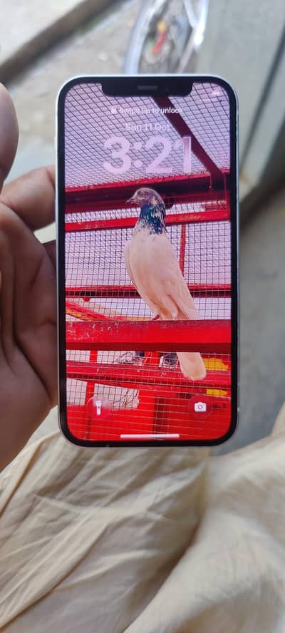 iphone 12 non pta face id ok trutone active
