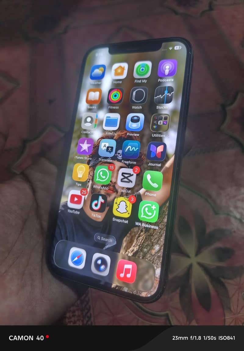 ip 12 0