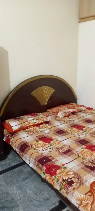 2 Door Wooden Wardrobe - Good Condition - Rawalpindi