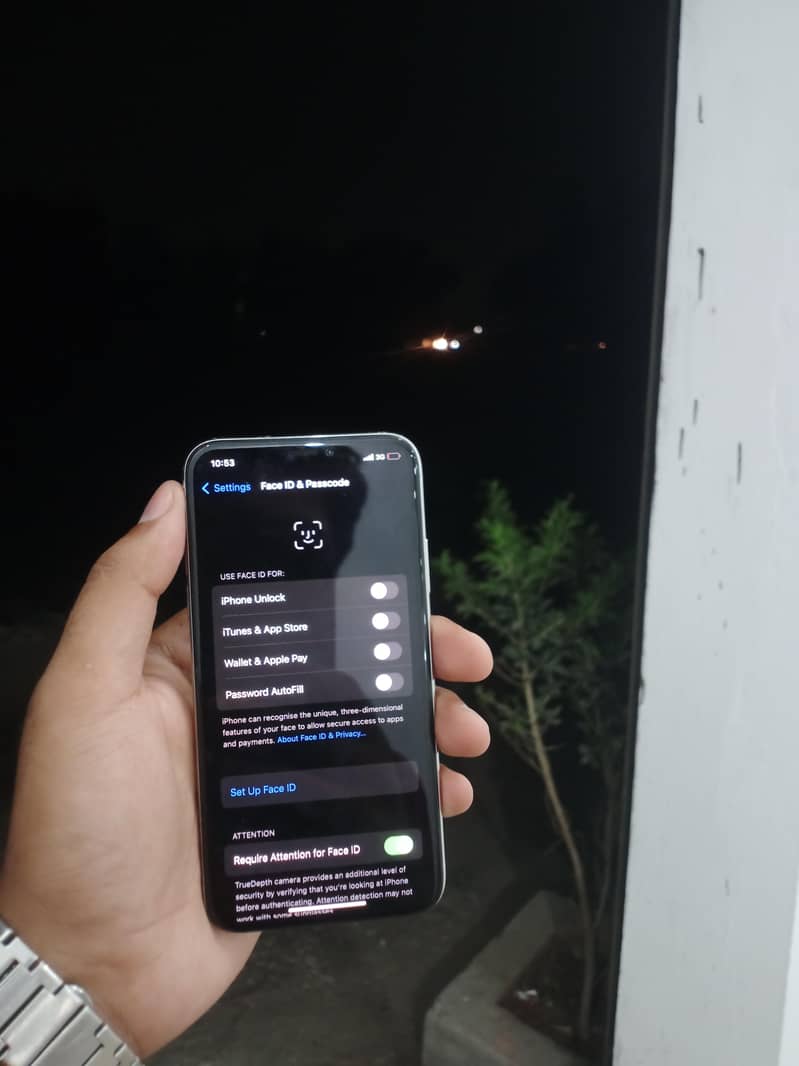 Apple iPhone X 12