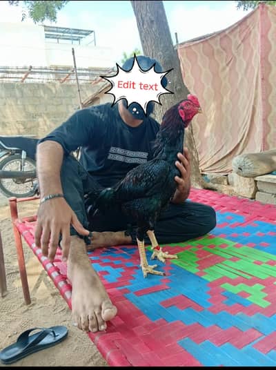 Mushka lasani