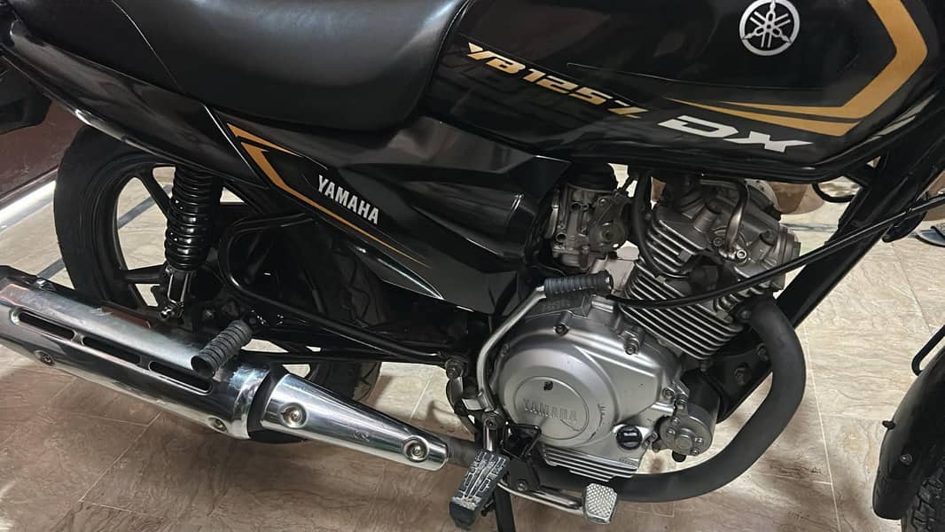 bikez 3