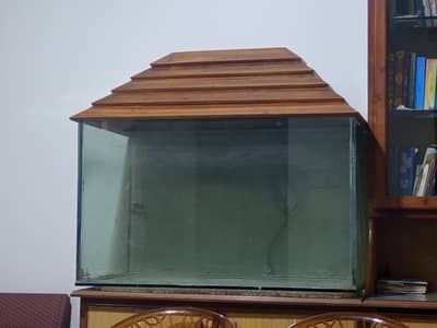 Fish Aquarium