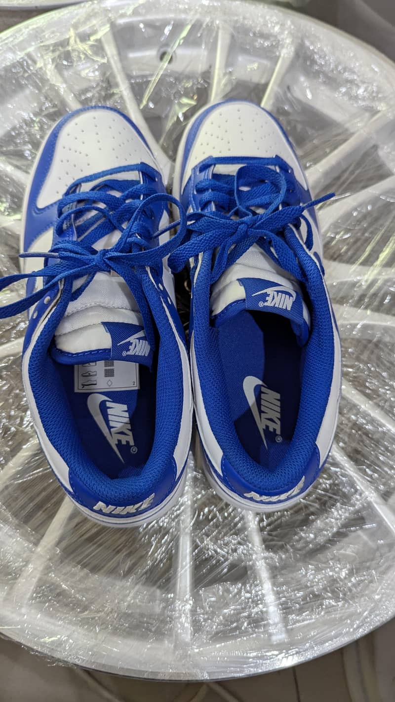 Nike dunk low 2