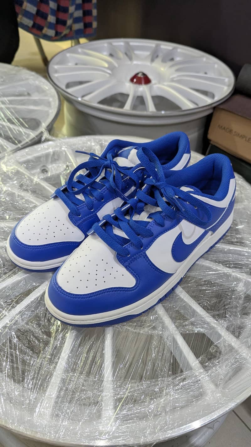 Nike dunk low 3