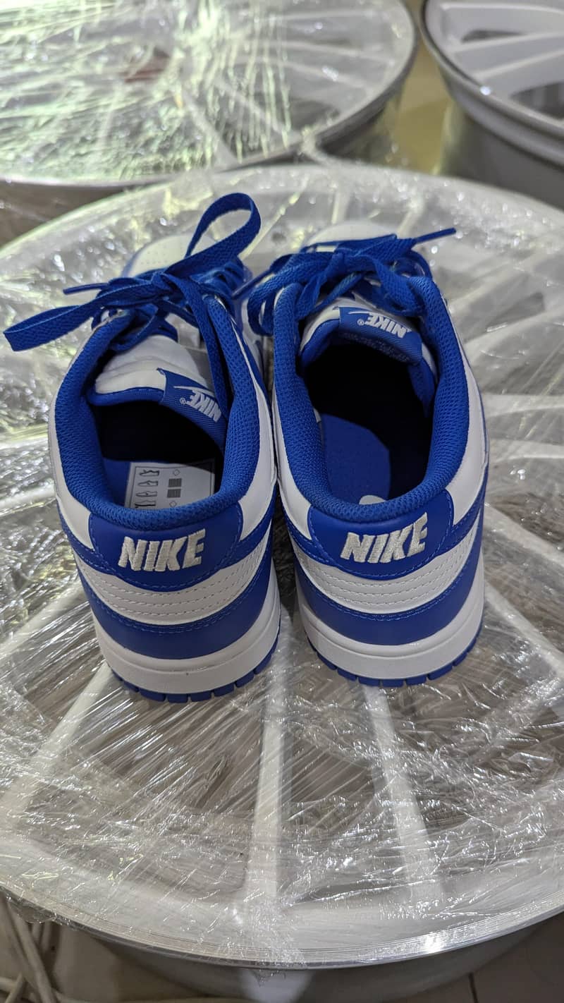 Nike dunk low 4