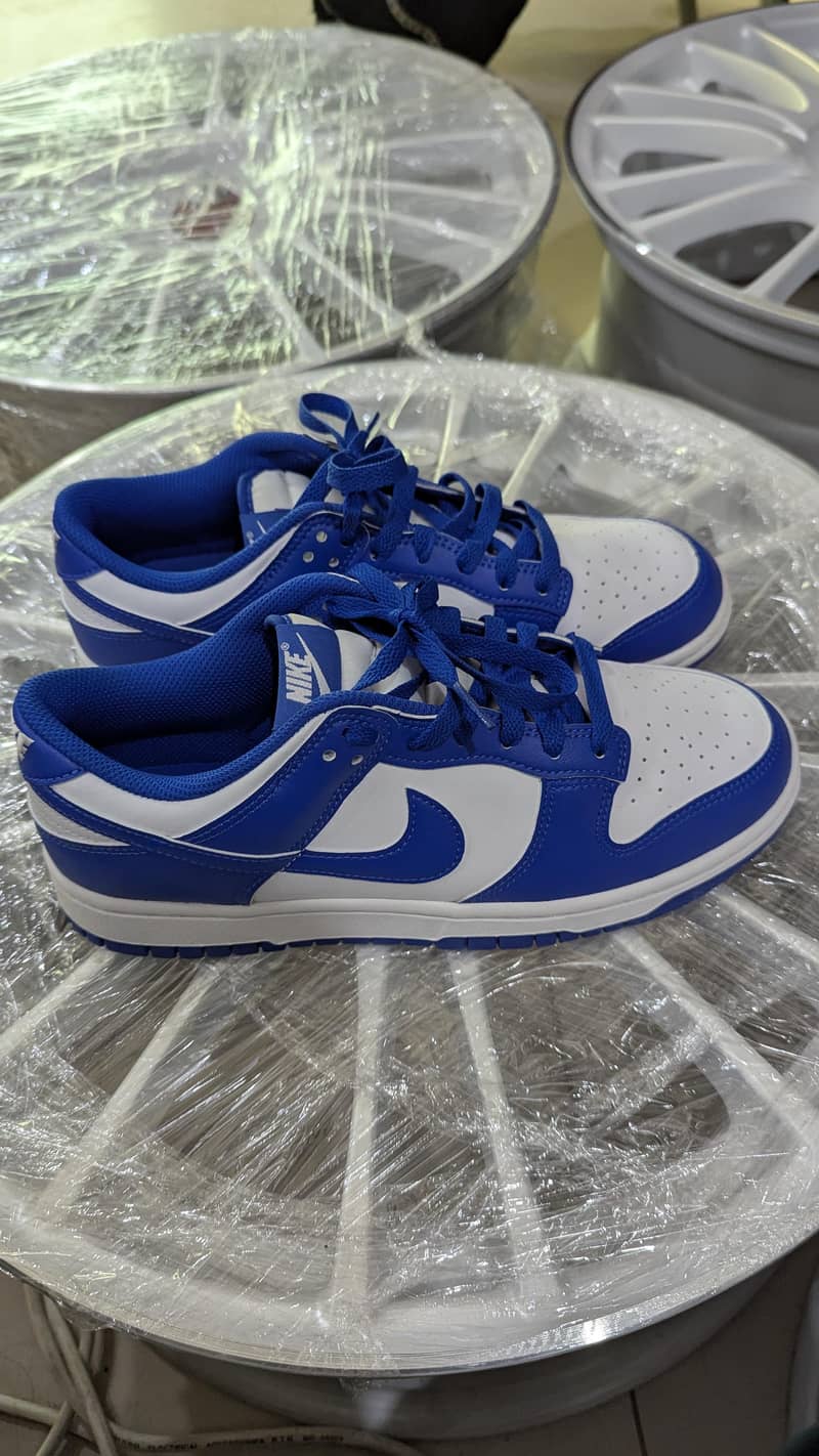 Nike dunk low 5