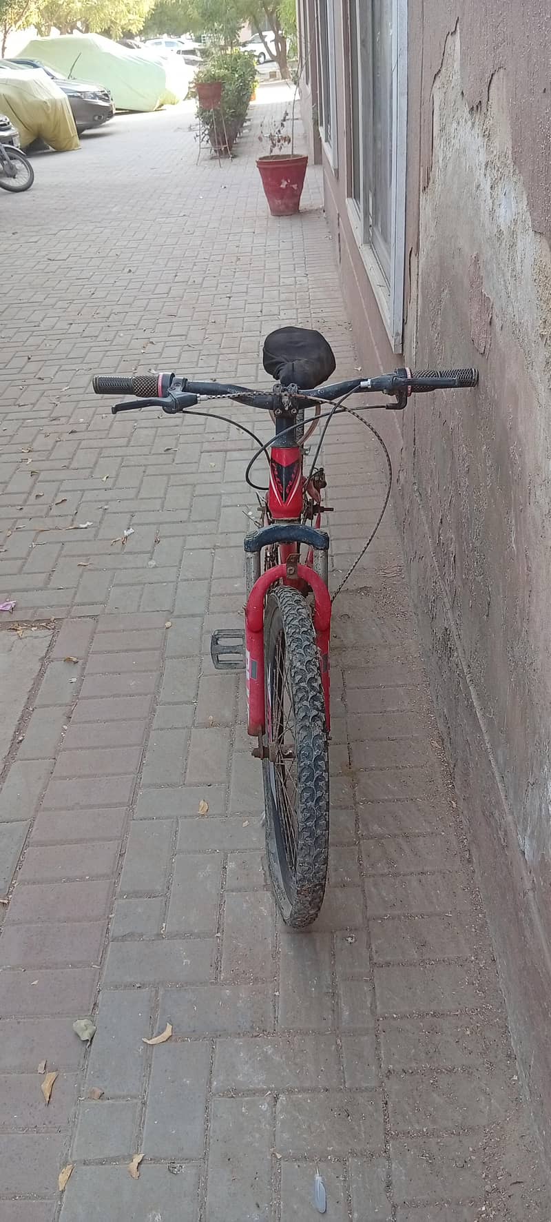 bicycle 2