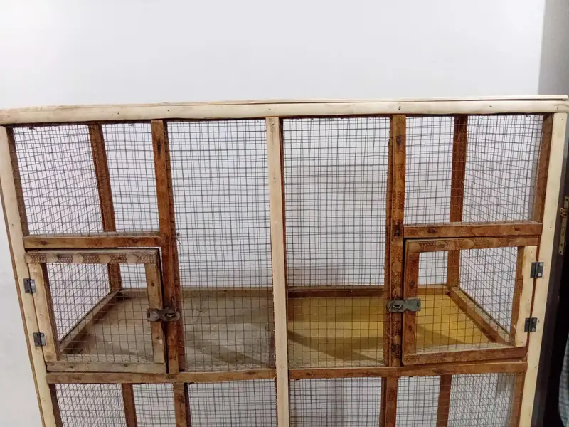 6 Cages with all in one combine Cage for parrots and hens — photo 2