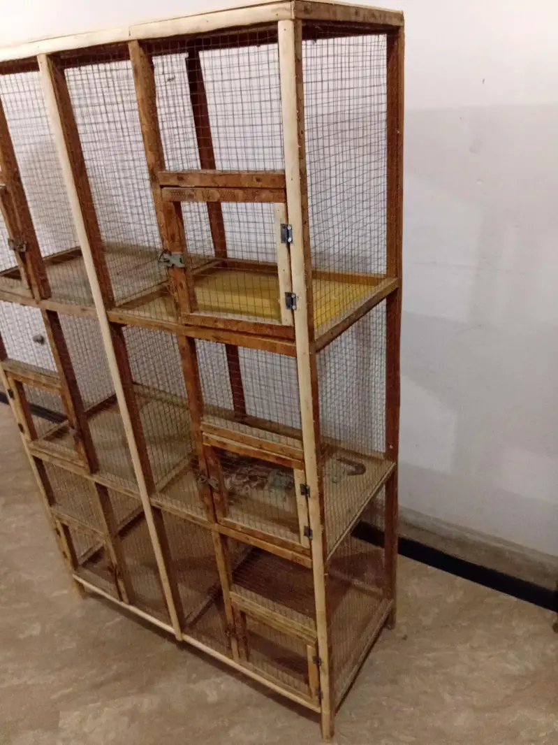 6 Cages with all in one combine Cage for parrots and hens — photo 3
