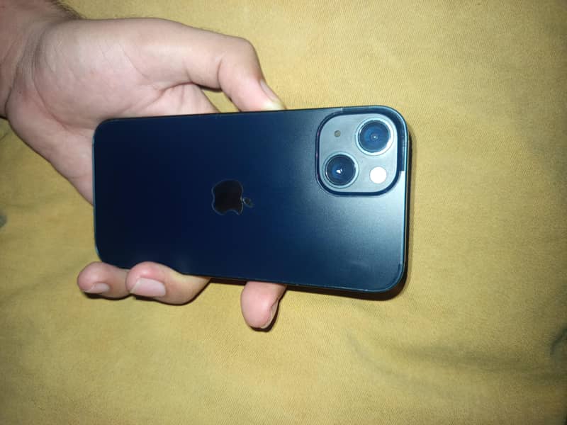 Apple iPhone 13 0