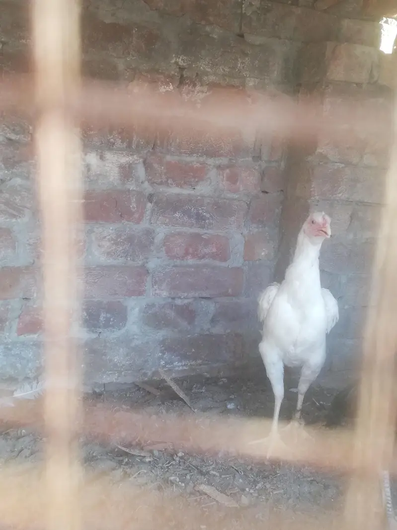 Pata hai  6 month ka — photo 3