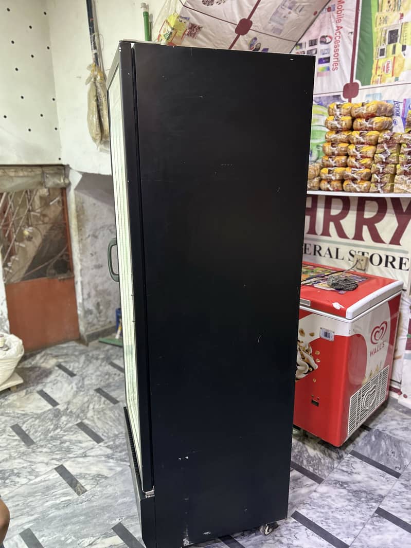 D freezer 1