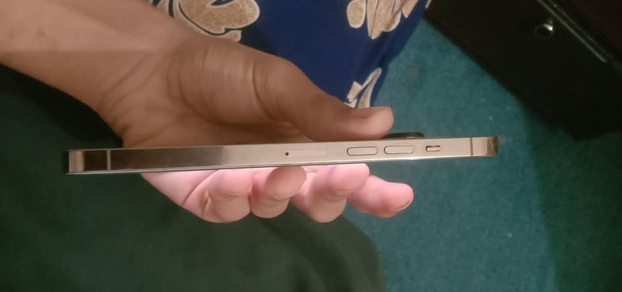 Apple iPhone 13 Pro Max(Bypass) 3