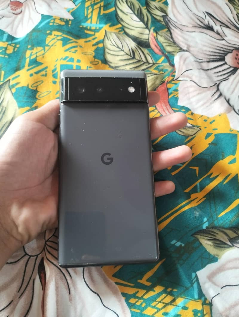 Google Pixel 6 panel change 0