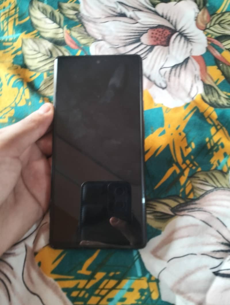 Google Pixel 6 panel change 2