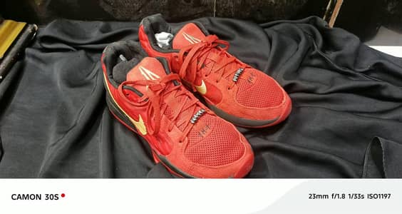 size9.5 uk
