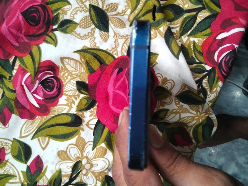 Apple iPhone 12 1