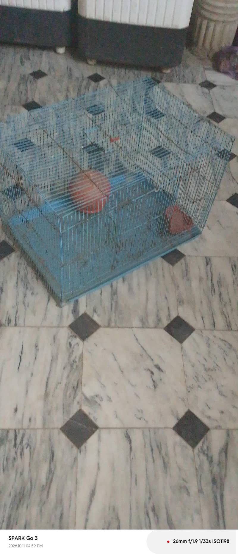 paretes pingra 3