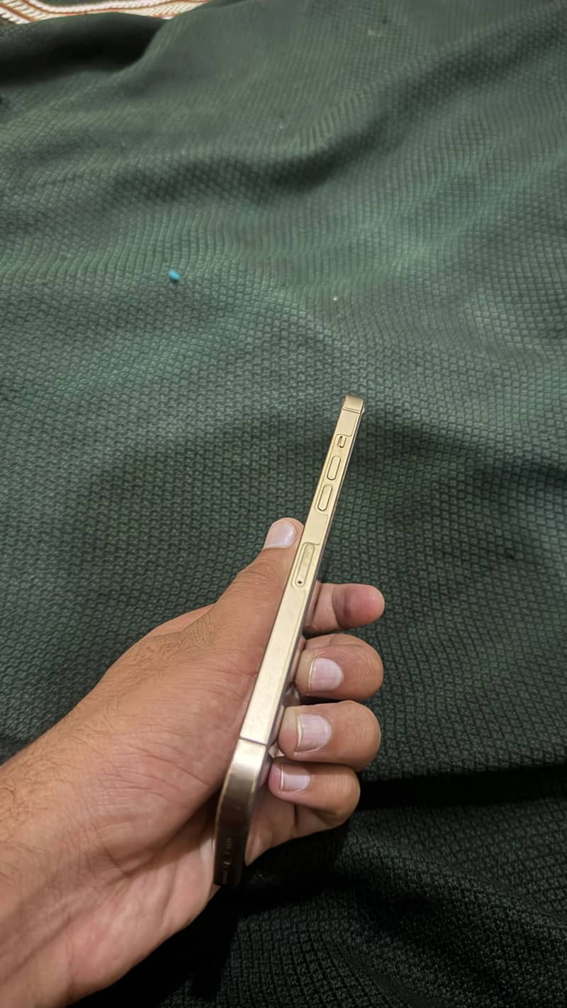 Apple iPhone 12 Pro Max 1