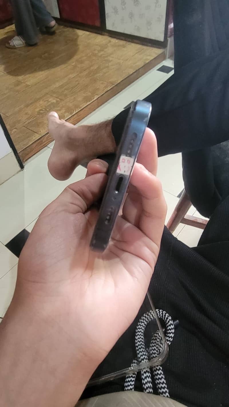 12 Pro Max 4