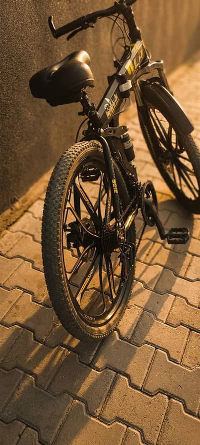 Folding bicycle ( Lazer )