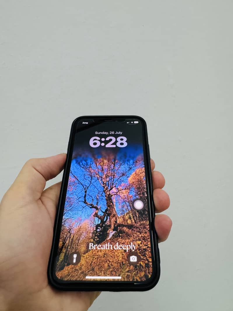 Apple iPhone XS 1