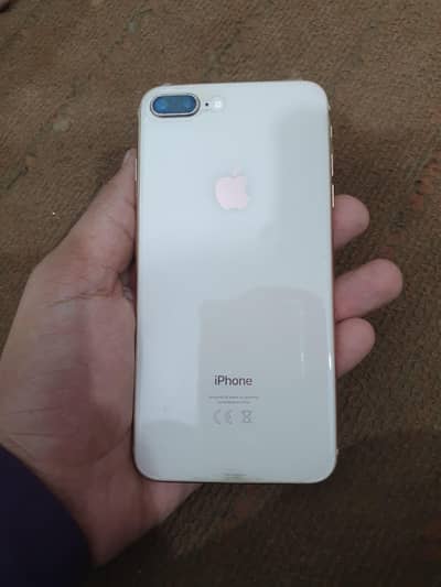 exchang possibal 8 Plus