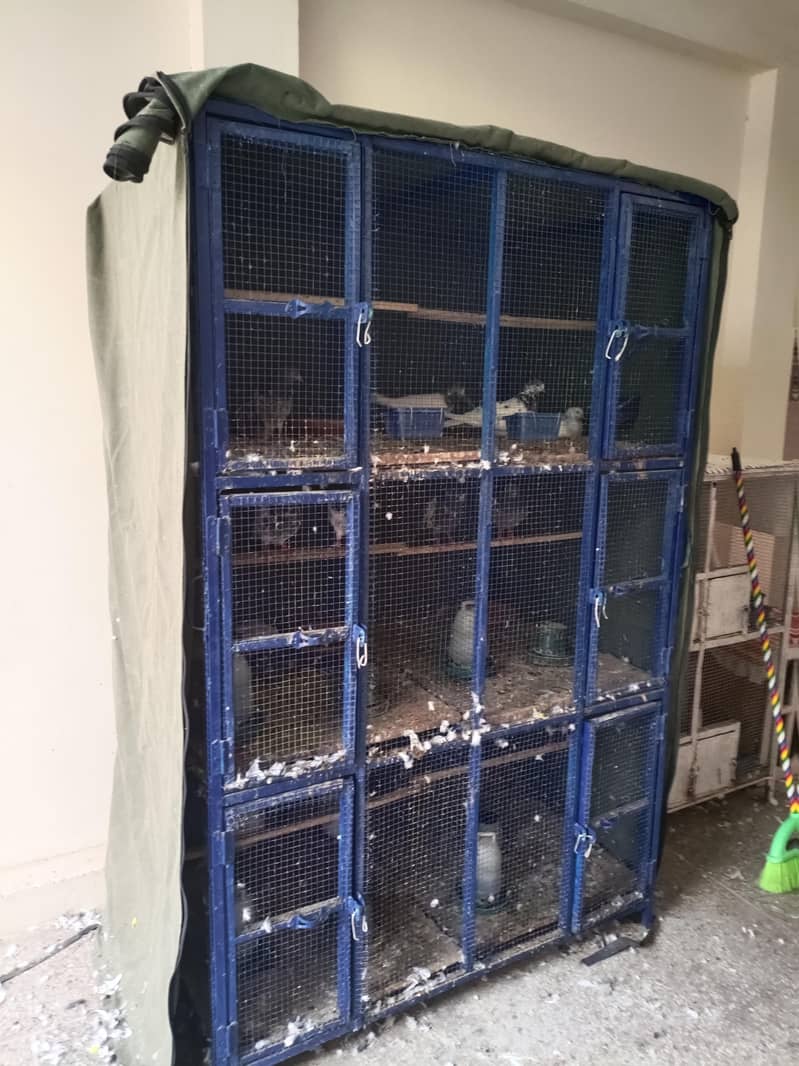 cages 0