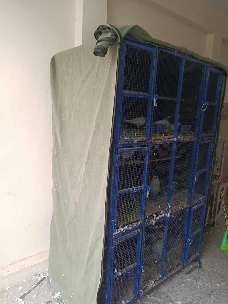 cages 1