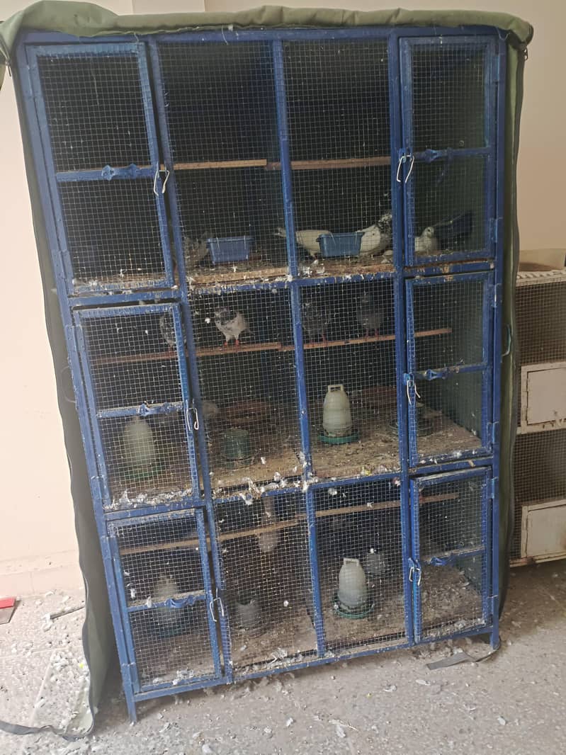cages 2