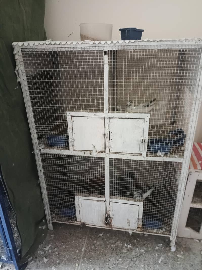 cages 3