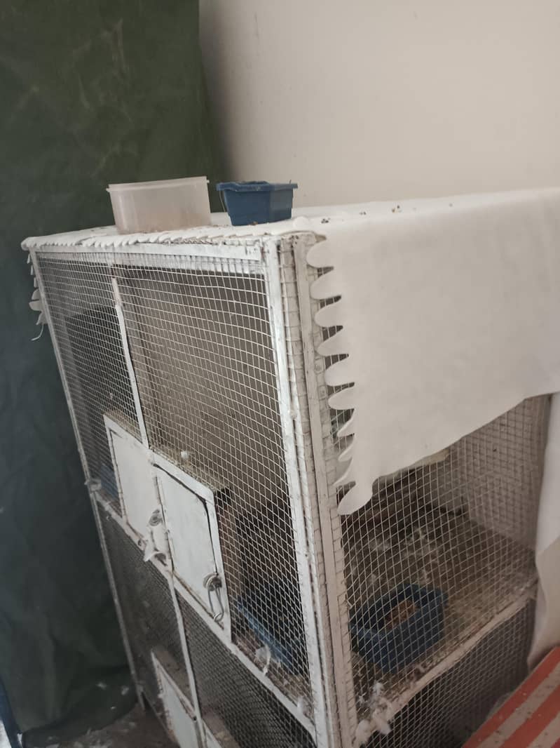 cages 4