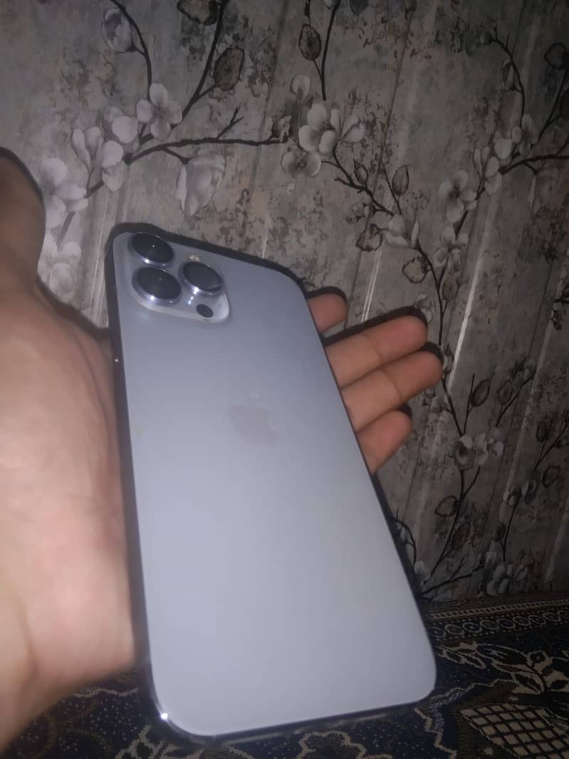 Apple iPhone 13 Pro Max 1