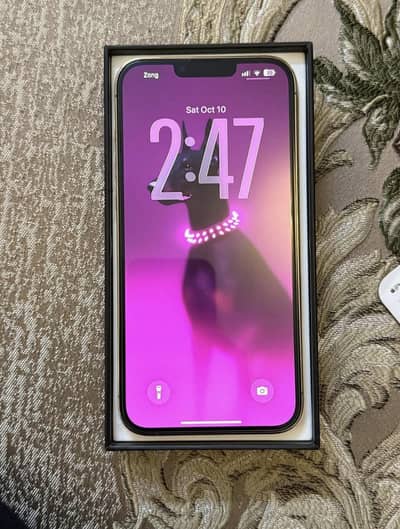 Apple iPhone 13 Pro Max pta approved