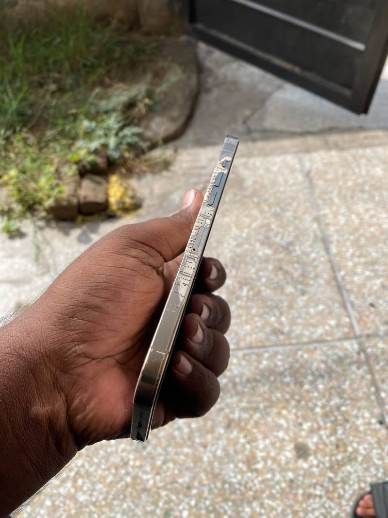 Apple iPhone 12 Pro Max 1