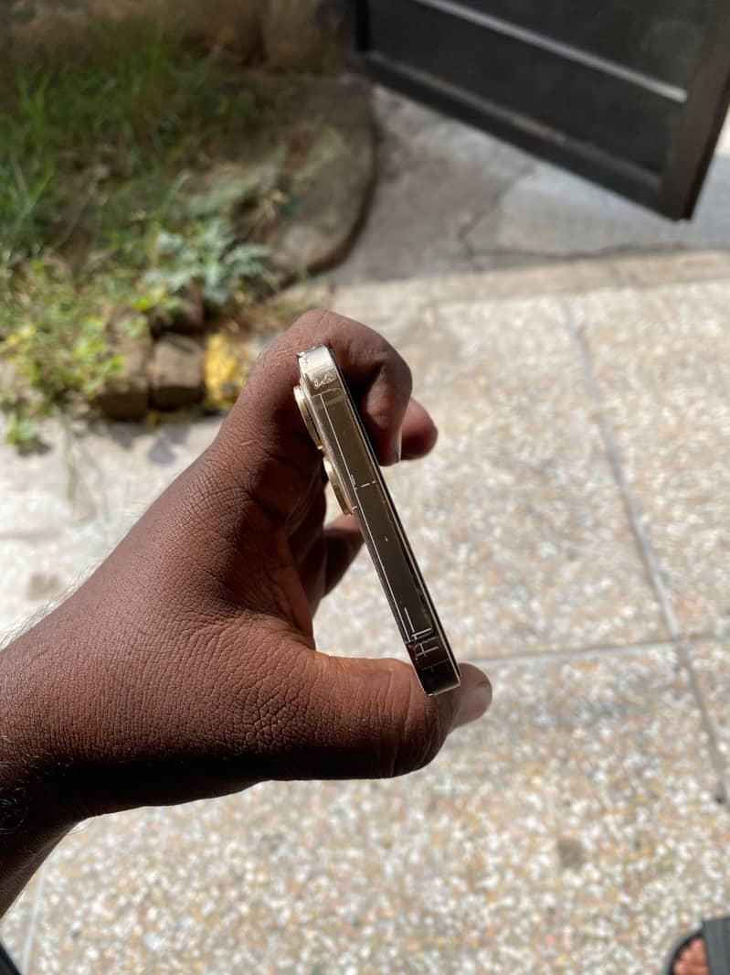 Apple iPhone 12 Pro Max 2