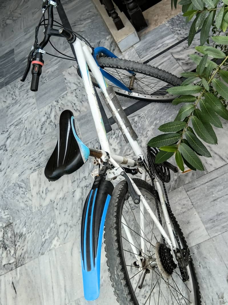Mountain Cycle 1