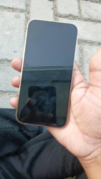 Apple iPhone 13 Pro