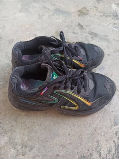 Used Shoes in very good condition