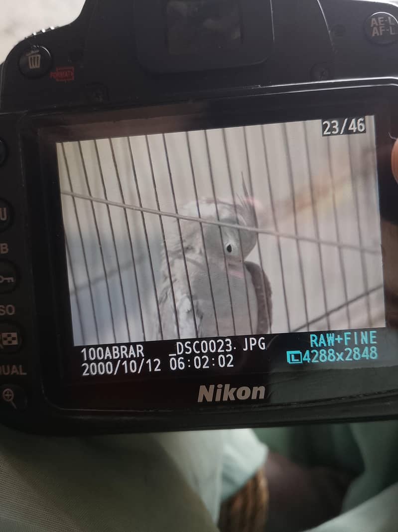 Nikon d90 DSLR camera 1