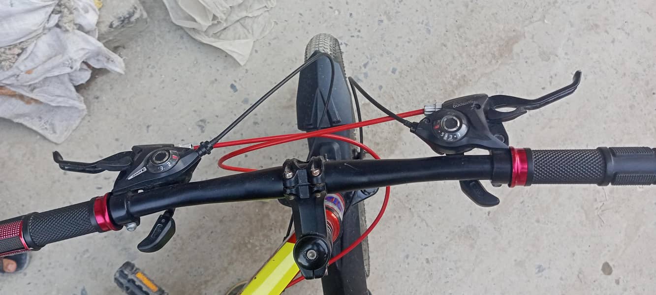 Bicycle 1