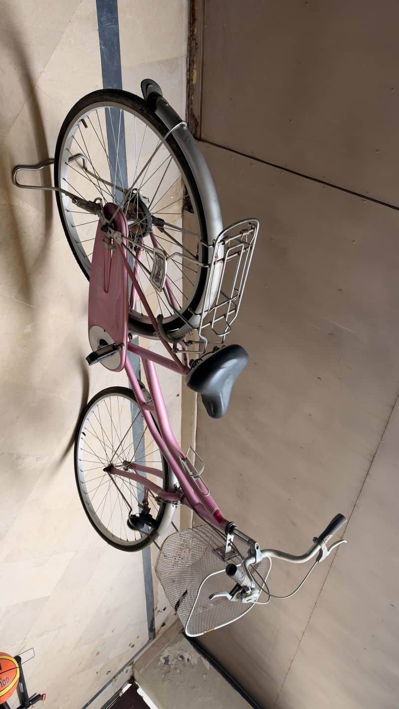 Pink Cycle 0